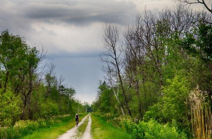 Bike Rider riding through Ahnapee wetlands