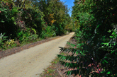 Badger State Trail scene