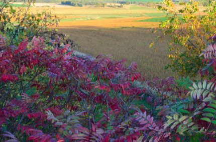 Sunset scene from Badger State Trail