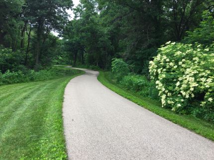 Path to Ashbourn Pond