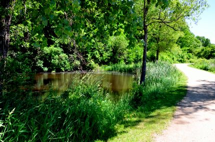 small pond next to bike path