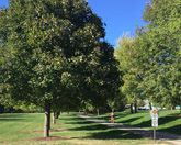 Fox River Trail near Ottos