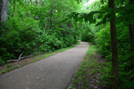 Paved part of KRT through the woods