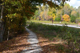 Single Track section of the Mammoth Cave Trail