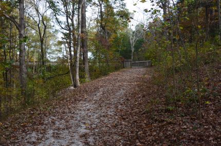 Coming up to wooden bridges on trail