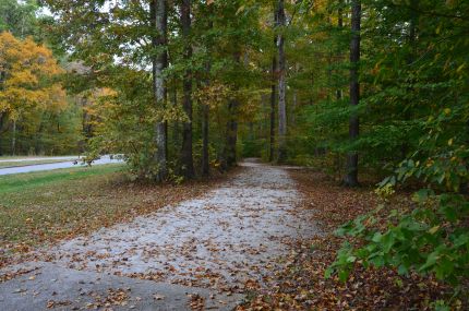 The Mammoth Cave Trail as it comes out of the woods