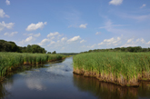 Moraine Hills Stream off River Road