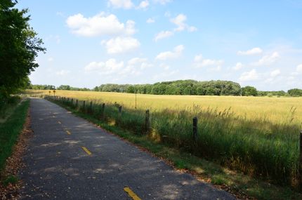 River Road Trail and high grasses