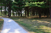 Moraine Hills Bike Trail to McHenry Dam