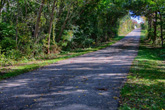 Old Plank Road Trail near Mokena