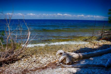 Driftwood along the shore in  Door County