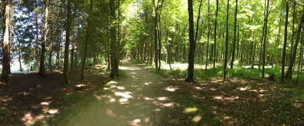 Wide view of Peninsula State Park Bike Trail