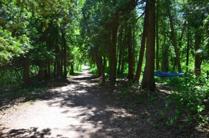 Sunset Trail between Campground and Nicolet Bay