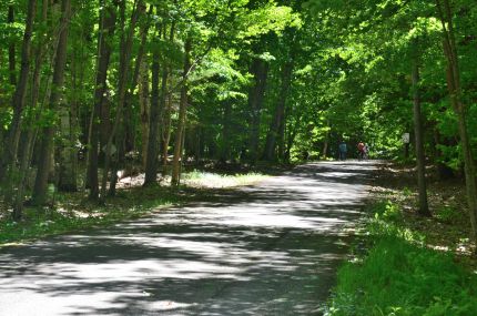 Sunset Trail on Park Roads