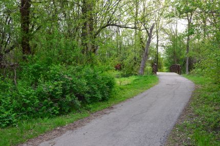 Bridge on the Prospect Heights Trail