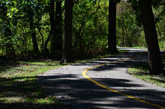 Thorn Creek Trail in Sweet Woods