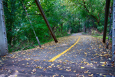 View of Virgil Gilman Trail from Crooked Bridge