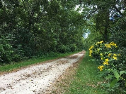 A wooded part of the Wauponsee Glacial Traol;