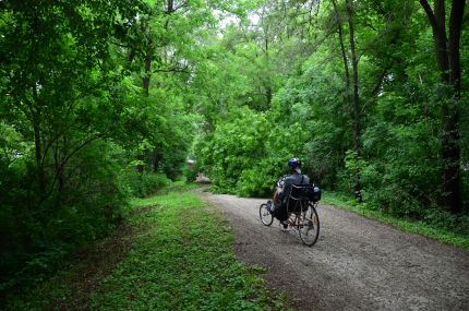 A downed traa on the trail near Springfield