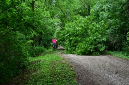 Dara riding around the downed tree on the WRT