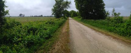 Wide view of the trail