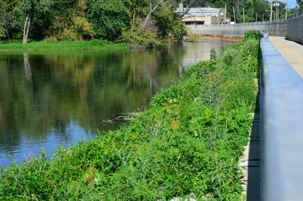 Reflections of Des PLaines River in downtown Des Plaines