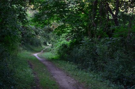 Rugged single track part of DPRT