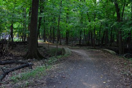 Small stone bridge and woods as seen from bike trail