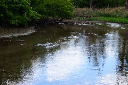 A view from the Des PLains River Trail