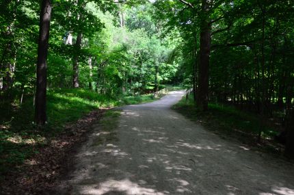 Approaching Lake Cook Road on DPRT