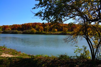 Illinois River view from bike trail