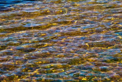 Colorful view of river or canal bottom