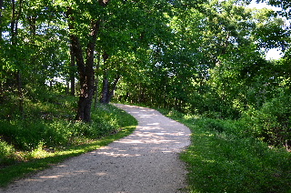 Uphill through the woods