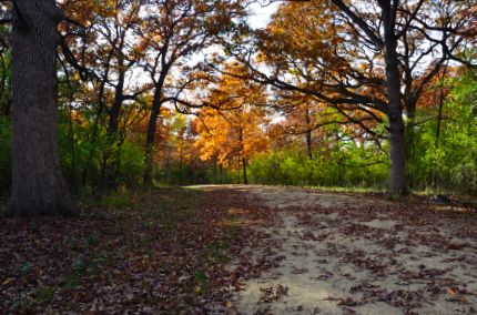 Nice colors on the Millennium Trail