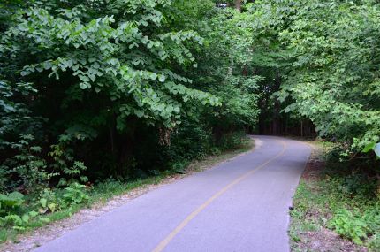 NBT passing through Linne Woods.