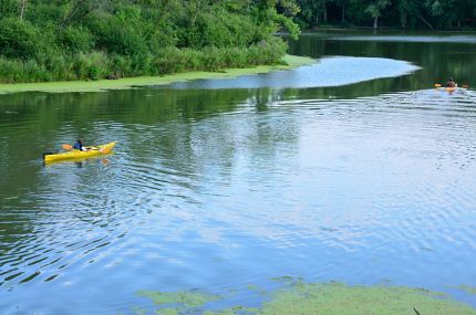 Kayakers on Skokie Lagoon