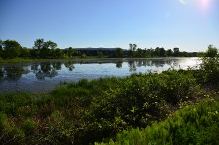 Wetlands near Great River Trail