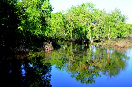 Scenic Wetlands off the GRT