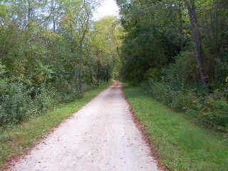 Bike path before intersection