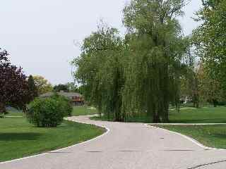 Sterling Road before uphill section