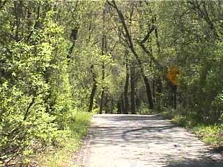 Steep hill on trail