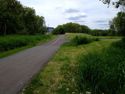 Trail Split Before New Bridge