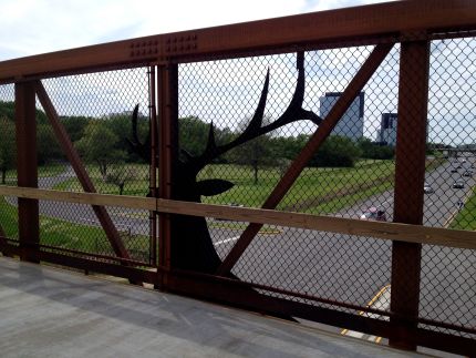 inside view of elk head on bridge