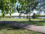 Busse Woods Bike Trail lake view.