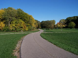 Back on the Busse Woods trail - red loop.