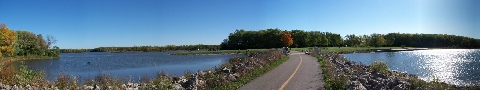 Busse Woods Bridge Wide