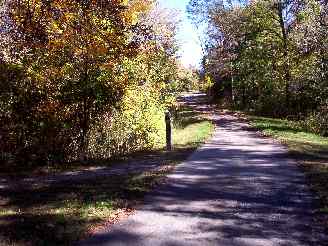 intersection of black and yellow trails