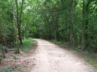 Wooded and shady part of the Des Plaines River Trail