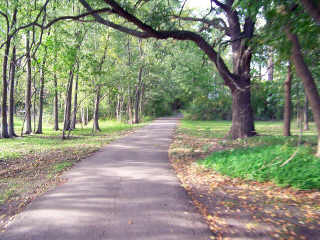 Wooded area in Geneva