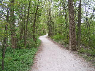 OK, now we get to the crushed limestone and fairly wooded part of the trail 